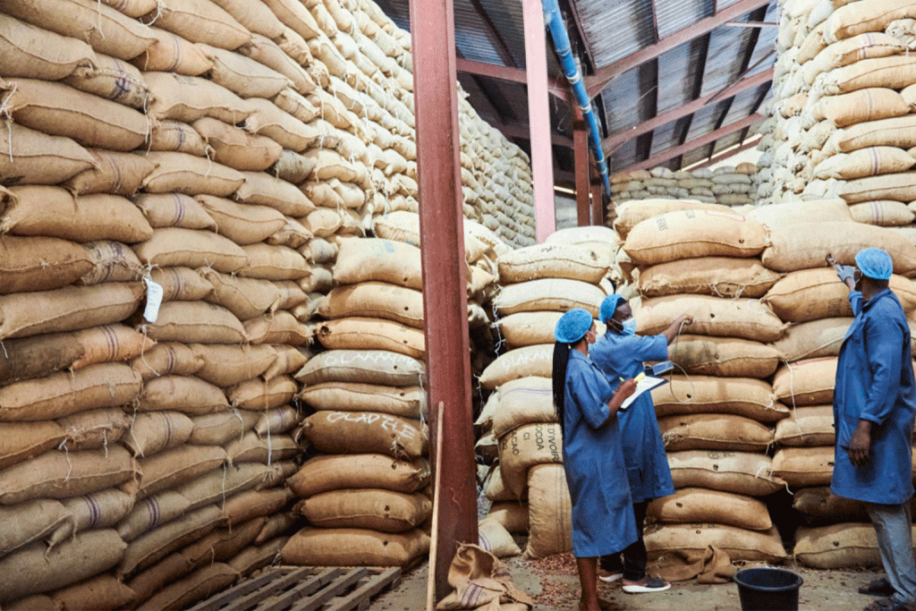 Storing Cocoa at Warehouse